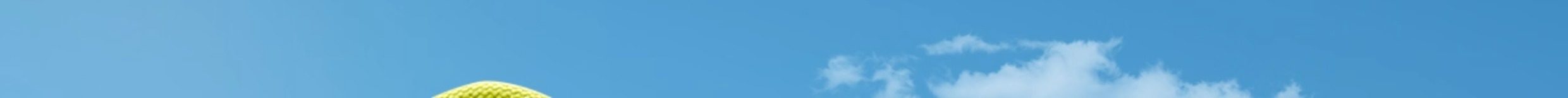 【中国直邮】 霸王茶姬 斜挎包系列 托特包(去云南款) *1个 