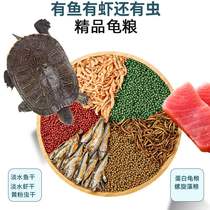 Baby turtle feed general turtle food dried fish dried shrimp baby turtle Brazilian tortoise turtle food particles special food grain