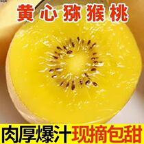 Sichuan Pujiang kiwi coeur jaune 5 livres fruits frais de saison kiwi confus pêche noix super doux et juteux