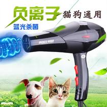 Pet hair dryer for dogs high-power hair dryer 3000W for teddy cats quick drying and hair pulling