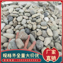 Hubei Natural River Pebble Substation Pebbles Pebble Filter Material River Beach Stone Landscaping River Pebbles