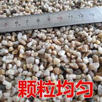 Melon seeds chestnut sand special sugar special sand special fried chestnut round sand fried peanuts fried peanuts
