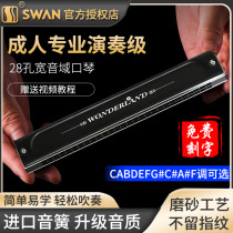 Imported gong swan 28-hole polyphonic ABCDEF accented harmonica advanced adult beginner professional performance level