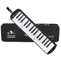 Swan mouth organ 37 keys 32 primary school students with professional children male adult wind instrument beginners complete music theory