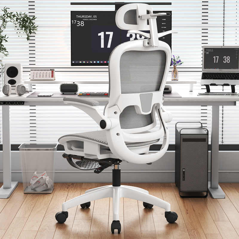 Mua ghế công thái học tại Tây Ninh