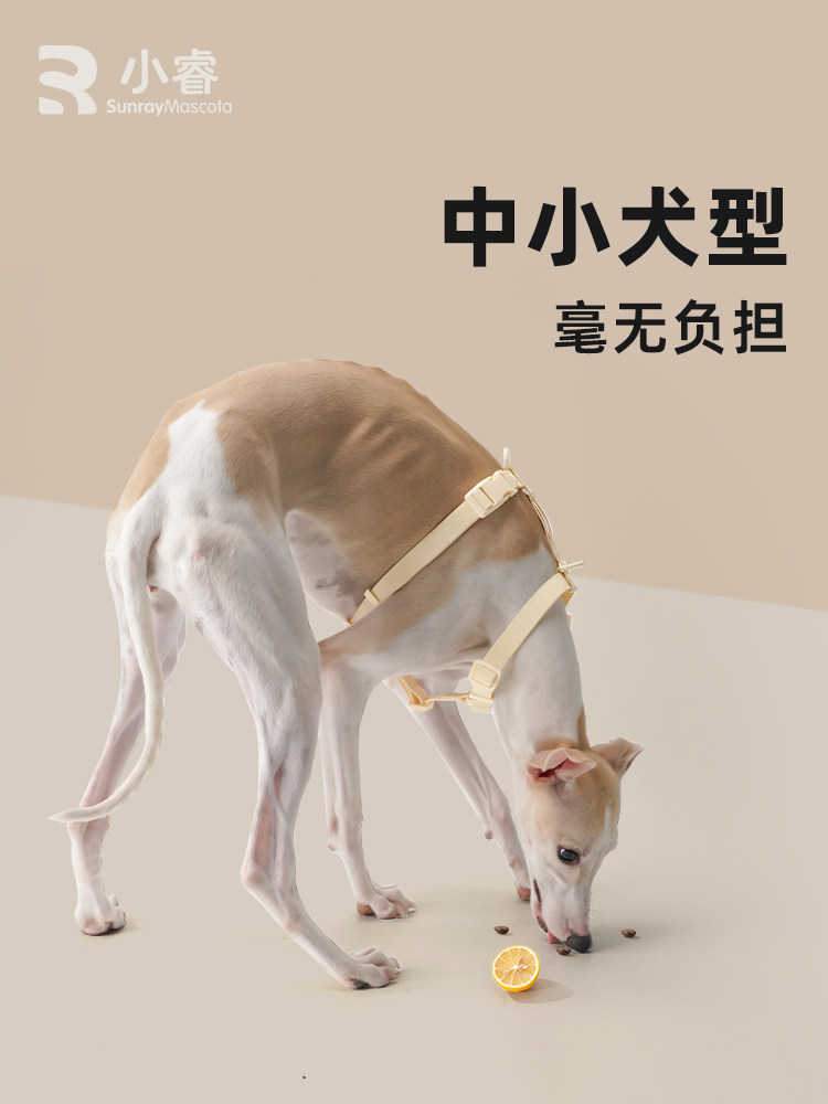 Sunraymascota Dog Harness Waterproof Pet Vest-Style Vest for Medium-Sized Dogs Anti-Escape Leash