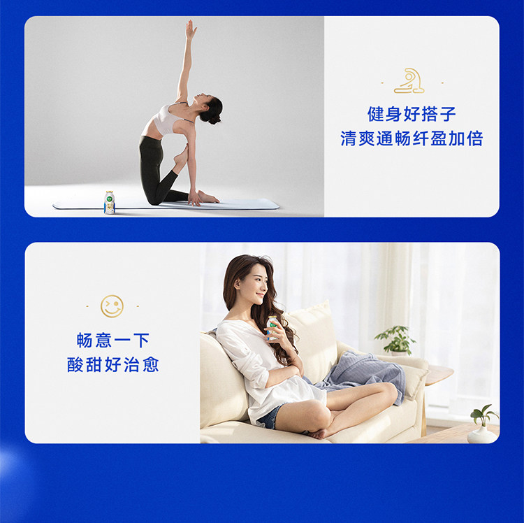安享好物 安享E级含乳饮料-伊利畅意 原味乳酸菌 国标