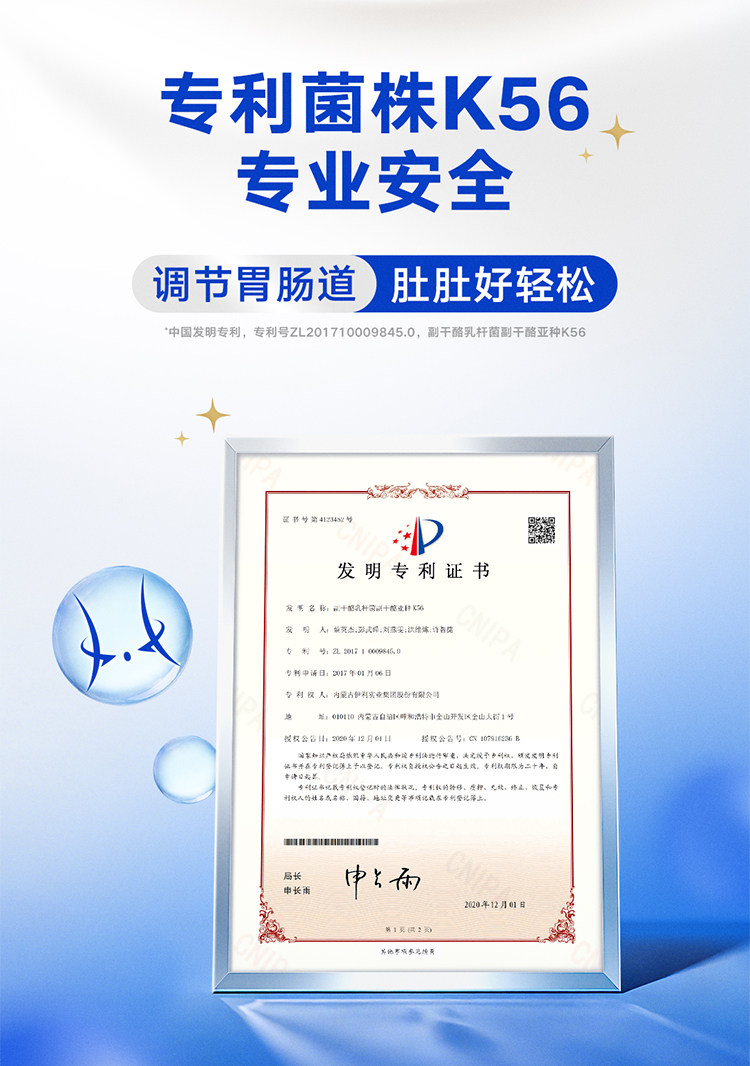 安享好物 安享E级含乳饮料-伊利畅意 原味乳酸菌 国标