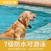 Direct selling pet GPS tracking ultra-long battery life anti-lost locator cat anti-lost collar precise positioning of cats and dogs