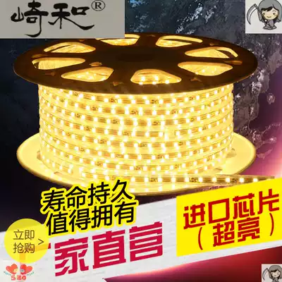 Lamp belt led three-color color-changing colorful household living room ceiling bedroom super bright outdoor waterproof neon soft light strip