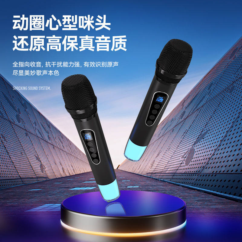 Home Outdoor Microphone Karaoke Audio Ktv High Power 200W Microphone Integrated Portable High Volume Bluetooth Speaker