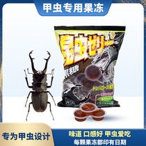 Beetle jelly unicorn food pocket beetle stag beetle insect feed ant eating kb beetle special jelly