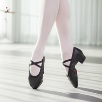 Soft leather training shoes teachers shoes folk dance laces and dance shoes soft soles belly dance Latin dance body