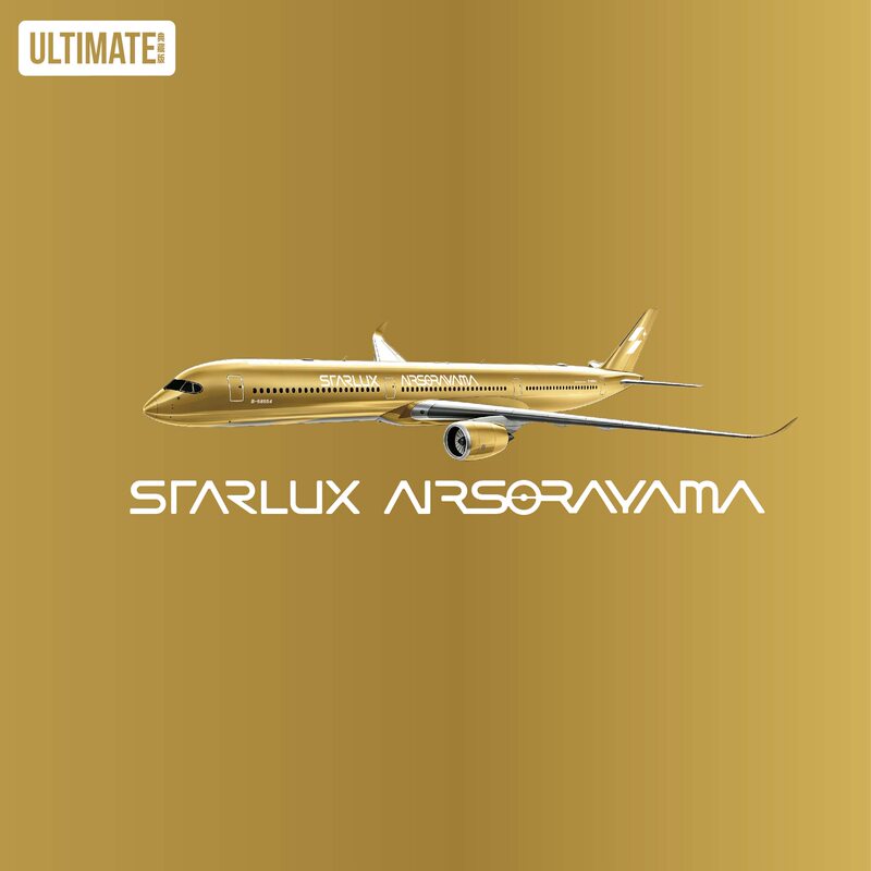 Ng Xingyu Airlines Collaboration with Akiyama Ken on A350-1000 Gold and Silver Painted Aircraft 1:400 Scale B-58553 B-58554