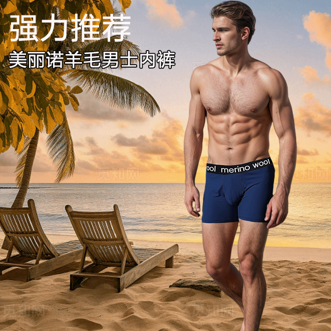 Lucaswell New Men's Merino Wool Boxer Briefs Merino Wool Outdoor Quick-Drying