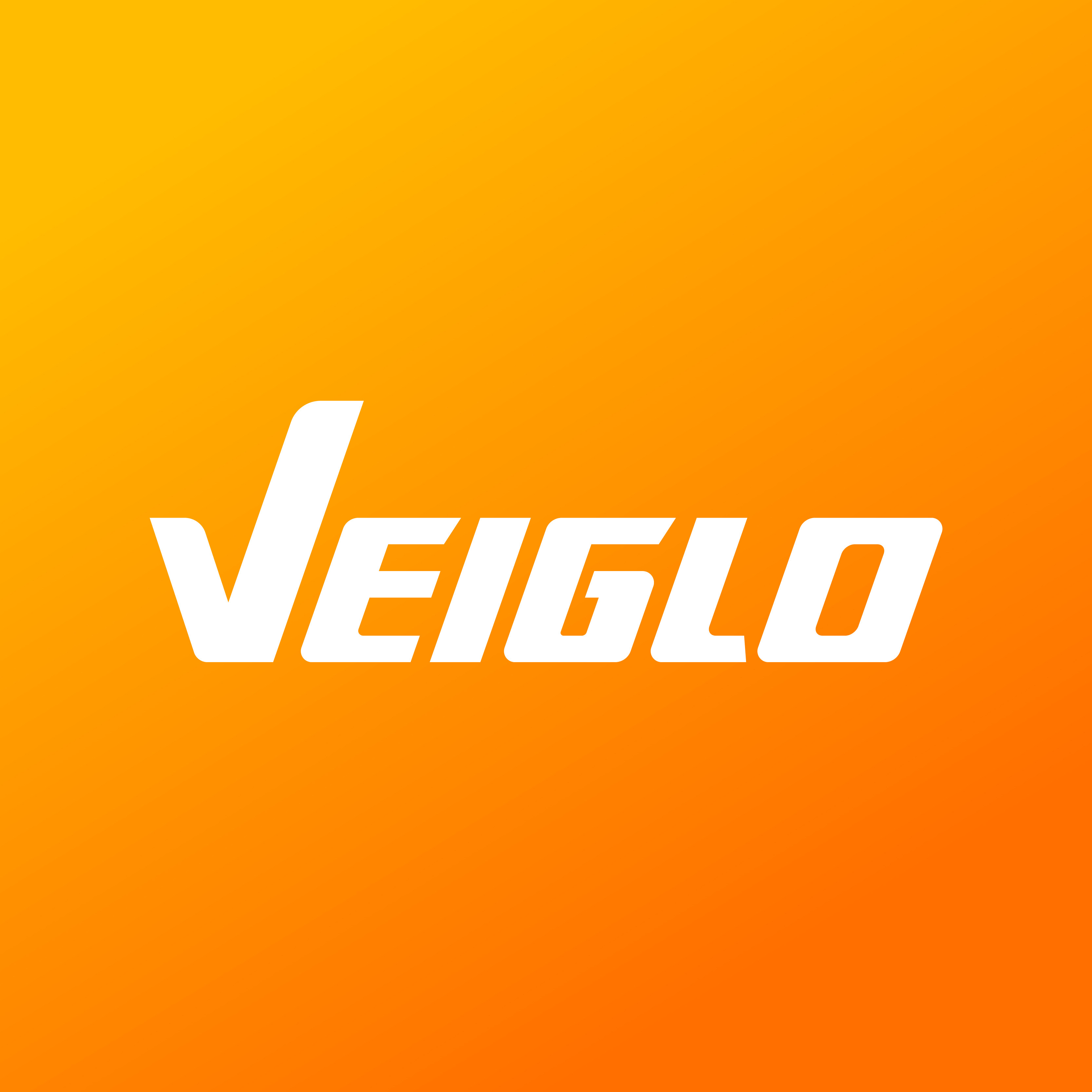 VEIGLO存储旗舰店