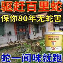 Realgar Snake Repellent Powder powerful anti-snake long-lasting rain-proof home courtyard outdoor camping snake-repellent and insect-repellent artifact