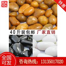 广东天然雨花石鹅卵石鱼缸造景原石白石子五彩石鹅软石卵石彩色