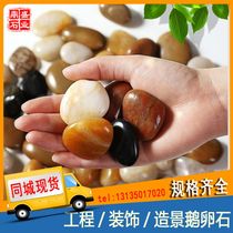 Jiangxi colorful cobblestone paving landscaping natural rain flower stone original stone white stone courtyard garden water washing