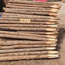 Pine wood pile river piling wood fir outdoor river bank protection log greening support pole flood control wooden pile round