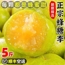 Cisfeng Guizhou Six Masbee Sugar Li 5 catty Honey Li Fresh Town Ning Bone Plum Li Zi When the Season Whole Box Should Season Fruit
