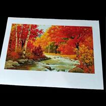 a1 anti-roll matte water photo paper inkjet cover quality color inkjet roll unbranded paper plus thick decorative painting paper 2