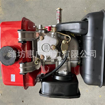 Changchai 1100F air-cooled single-cylinder diesel engine farmland irrigation water pump matching 9 6KW engine
