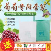 Grape bag insect-proof open-air grape AIN bagging bag special bagging waterproof bag grape bag paper bag for grape cultivation