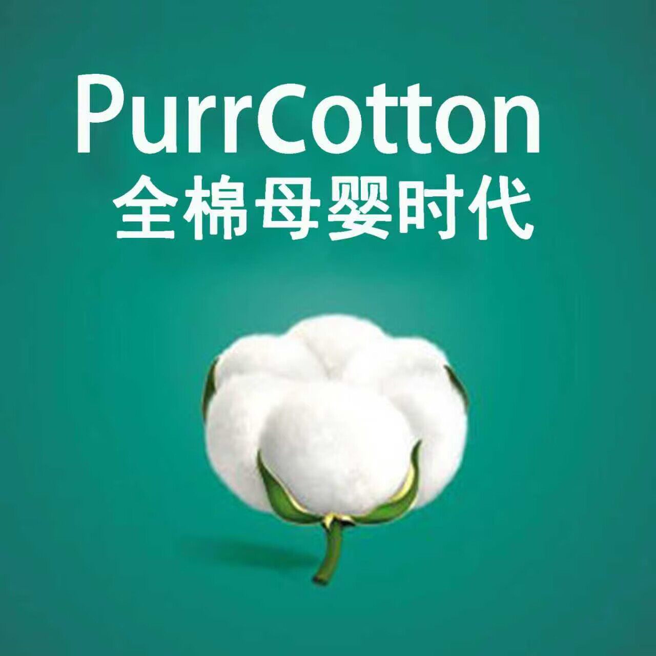 Procootton全棉生活时代
