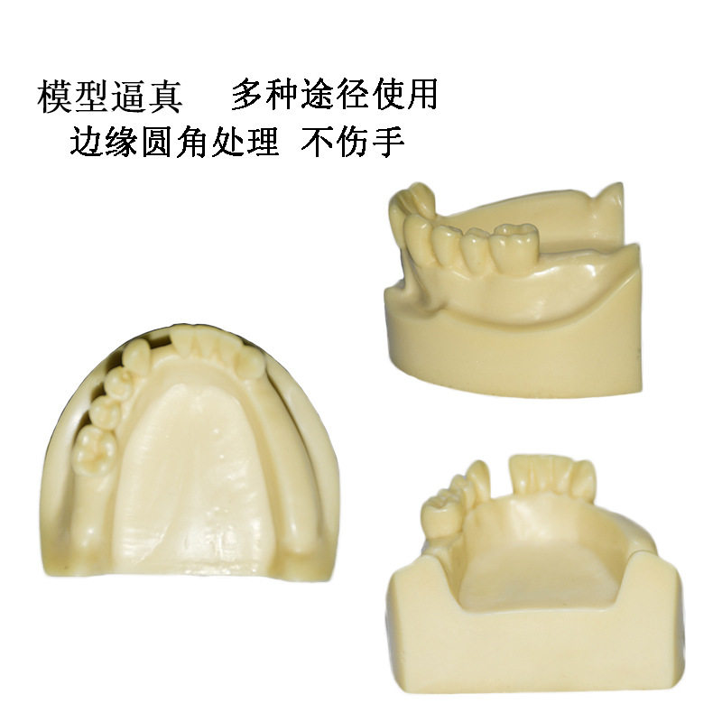 牙科下颌骨材料种植练习模型牙龈钻孔实操发泡缺失上颌口腔骨质