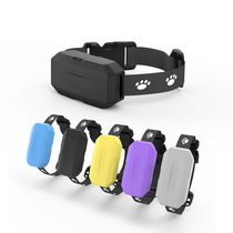 Pet 4G Anti-Lost Device Pet Positioning Collar Universal GPS Locator for Cats and Dogs