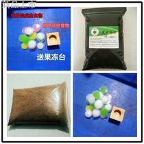 Fermented feed jelly spade fairy) adult unicorn (larvae beetle adult food jelly unicorn sawdust fairy special