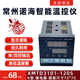 Changzhou Nuohai intelligent temperature control instrument XMTD3101-1205 relay K type CH702-11-1205 control