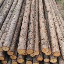 Fir log piles river bank protection flood control projects fir piles pile driving log piles landscaping fir piles