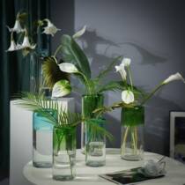 Clearance Orphan Ins Style Light Luxury Internet Celebrity Nordic Glass Vase Model Room Flower Arrangement Flower Set Home Soft Decoration