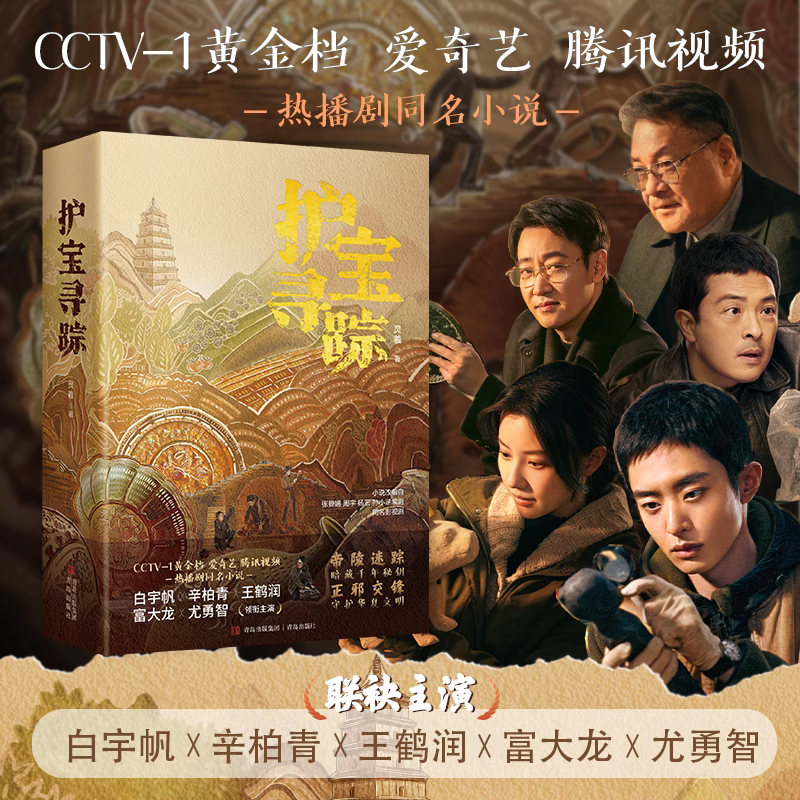 护宝寻踪全2册：辛柏青富大龙主演同名剧原著，解密真实考古与文物保护的智慧较量