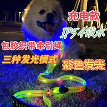 Pet Luminous Collar Luminous Waterproof Dog Walking Collar for Large Dogs and Small Dogs Rechargeable LED Anti-Lost Collar