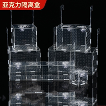Fish tank isolation box acrylic transparent mini parrot peacock golden wave hatching box fry breeding box