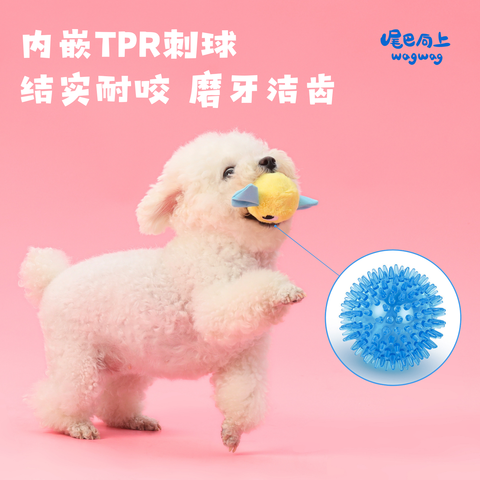 宝贝啊～ 你是女孩子，这样睡觉好吗？😂 #fblifestyle ＃fyp ＃生活简单＃生活日常＃小狗, image size:1600x1600