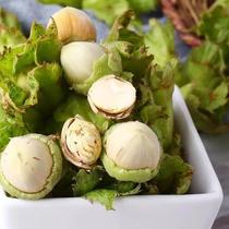 2024 Northeast Fresh Green Hazelnut Green Hazelnut Watery Flesh Hazelnut Nuts Freshly Picked Fresh Seasonal Bag