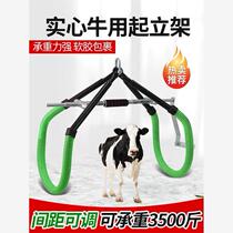 Standing stand for cattle cattle lifter dairy cow auxiliary standing stand production holding frame cattle lifting device veterinary tractor