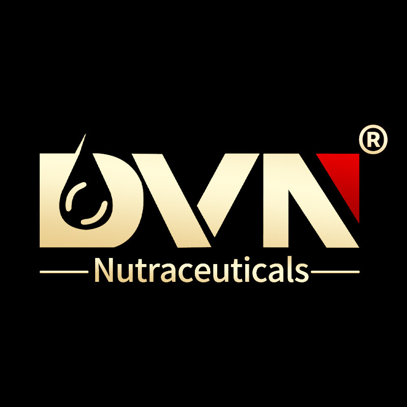 DVN戴文旗舰店的LOGO