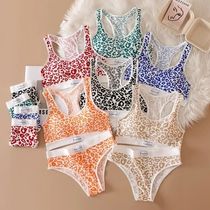 Women Seamless Bra Set Panties Low Waist Leopard Bralette Li