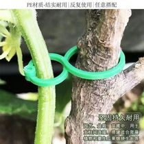 Vine gardening 8-shaped buckle green plant fixing clip fruit and vegetable shaped vine fixed plant root support 8-shaped buckle