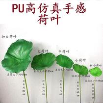 Classical dance into the lotus leaf with pole props for childrens dance simulation lotus lotus flower holding fingers