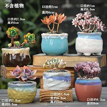 Succulent flower pot ceramic clearance simple indoor large household succulent plant thumb small flower pot