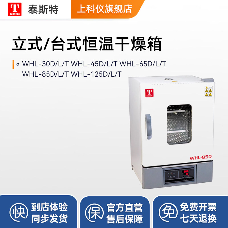 泰斯特立式恒温干燥箱高温电加热型工业烤箱烘干机实验室烘箱