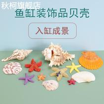 Fish tank decoration natural shell conch aquarium underwater world landscaping accessories small ornaments ecological fish tank interior