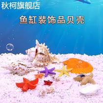 Fish tank decoration natural shell conch aquarium underwater world landscaping accessories small ornaments ecological fish tank interior