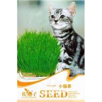 200 PCS bag Cat grass seeds Triticum aestivum small catnip s